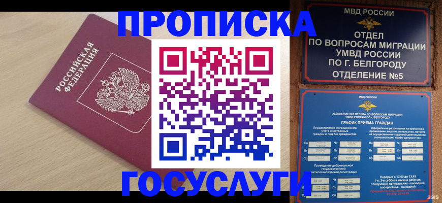 прописка законно в Сургуте
